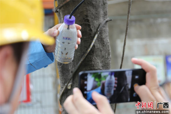 住戶為防止雨天插座漏電而套上的塑料瓶中積水明顯，存在漏電隱患。謝耘 攝